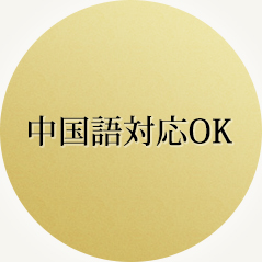 中国語対応OK